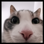 AndreIsCrazy's profile picture
