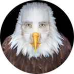 HEJHEJBANAN