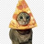 CatPizza
