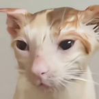 LAOwu