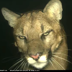 JustYourReviewer's profile picture