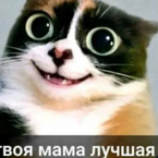 labubufemboy