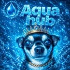 AquaHubs