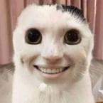 wrsq's profile picture