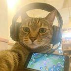 J0sh_0's profile picture