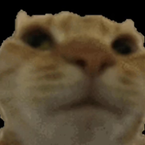 zerozkx