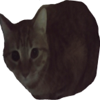 munecadev