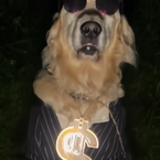 tapshift's profile picture
