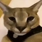 redskyy's profile picture