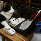 Meogaming2026