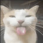 Na*hebackdoorlover's profile picture