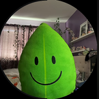 d4dmnefsa