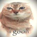 elz_Kaii's profile picture