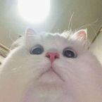 NorisdaGames