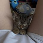 kyybackk