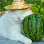 Flukoza's profile picture