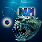 Capi76