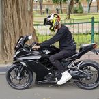 madpit36's profile picture