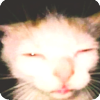 Eraog's profile picture
