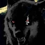 elijj's profile picture