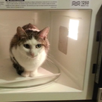 microwaveyd