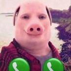 MerzzL1