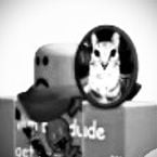 11451491781391's profile picture