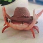 Purppy's profile picture