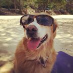 BerLikdeba's profile picture
