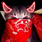 echeverriacristofer's profile picture