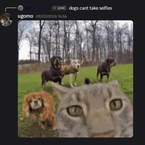 ahizebi's profile picture