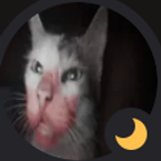 lostmeow