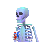0xVyr
