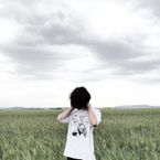 mizcanscripts