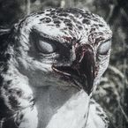 BRUTON_'s profile picture