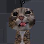 Dechie
