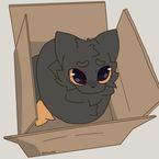 mistplayisamazing17's profile picture