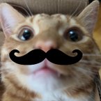 MrNormalV2