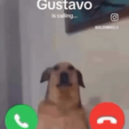 WeakestDummy344