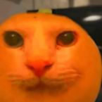 Angelx102's profile picture