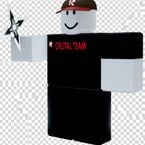 CRUTAL_TEAM