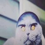 7F000D's profile picture