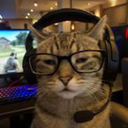 vexalscr1pts