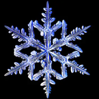 frost_scripts