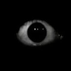 MONSTER_SCRIPTS