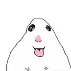 Elpepe123xd's profile picture