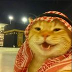 Cat_Script's profile picture