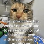 gawking's profile picture