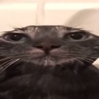 test_subject
