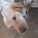 XxmiaxX_xd's profile picture